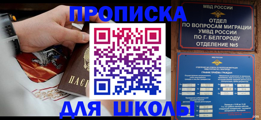 пропишу в квартире в Воронежской области